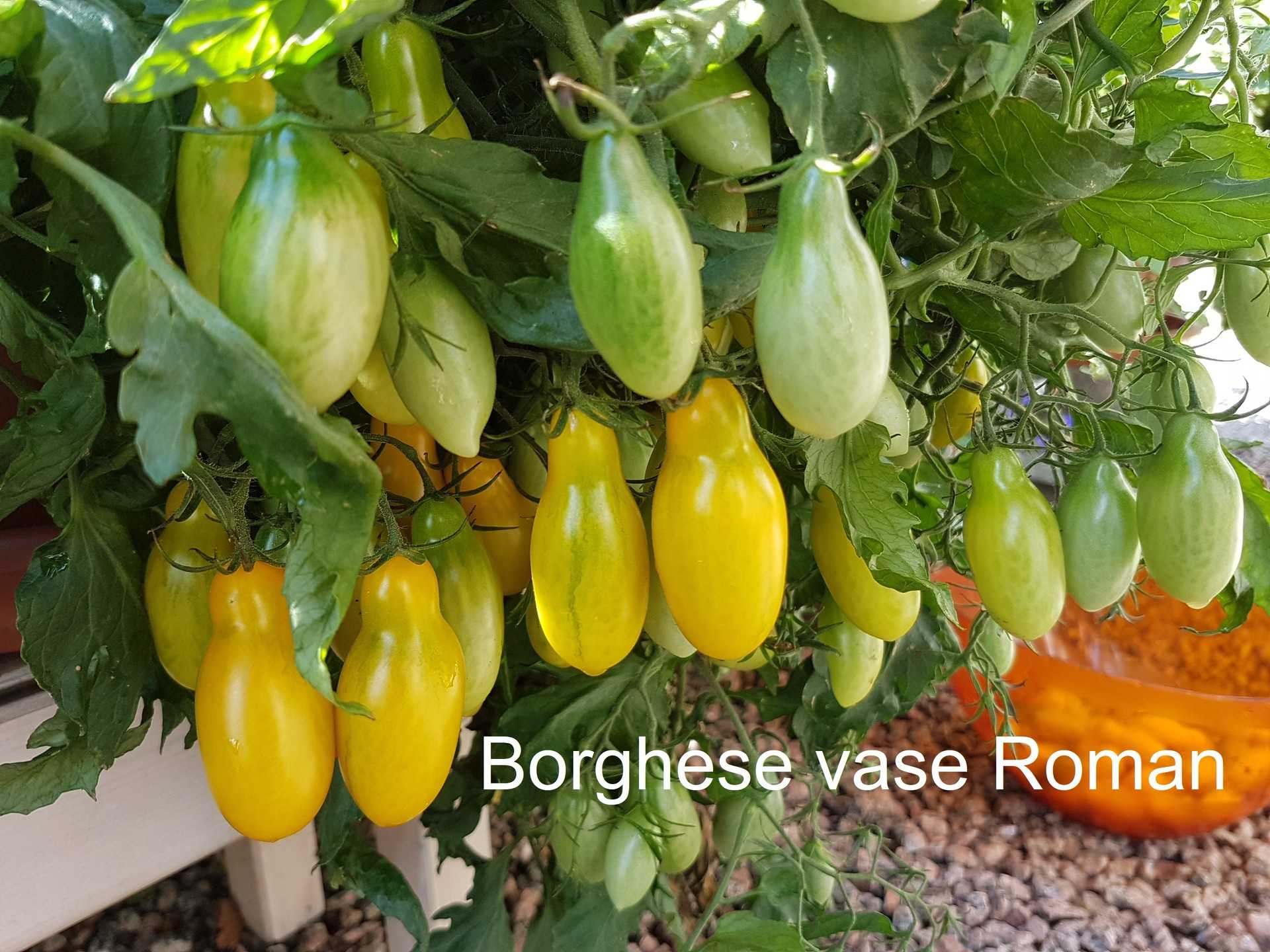 Borghese vase Roman