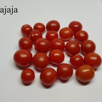 Bajaja